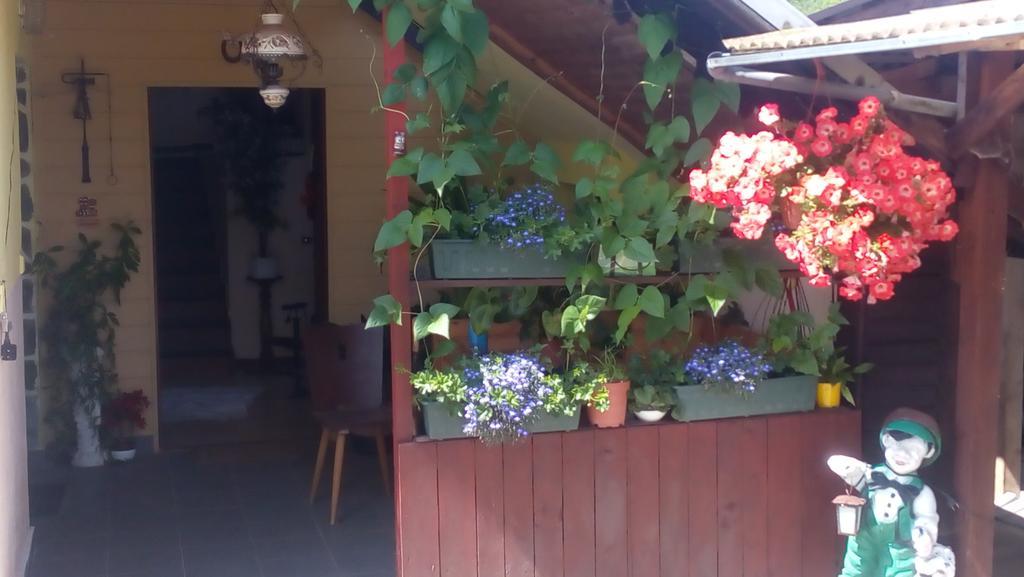 Hotel U Tri Kocek Jablonné v Podještědí Zewnętrze zdjęcie